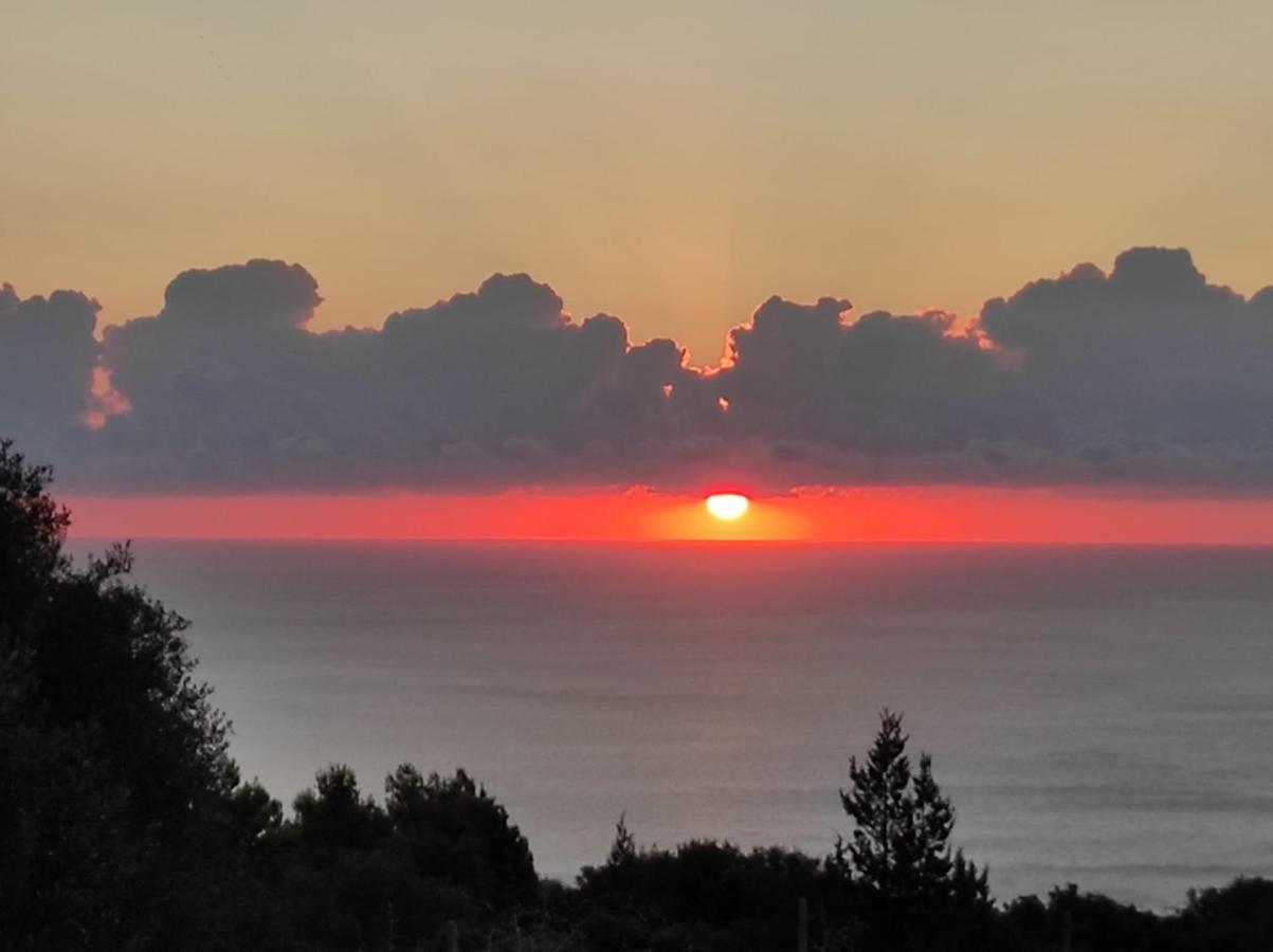 Casa Olivastra Villa Dorgali Bagian luar foto