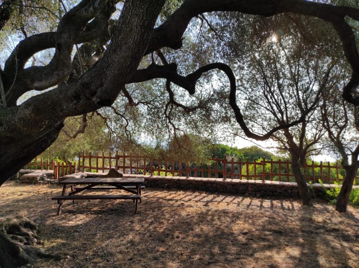 Casa Olivastra Villa Dorgali Bagian luar foto