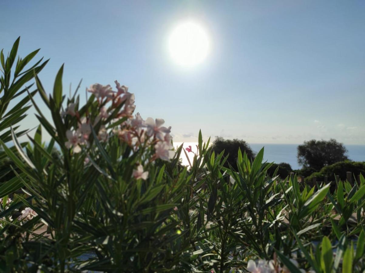 Casa Olivastra Villa Dorgali Bagian luar foto