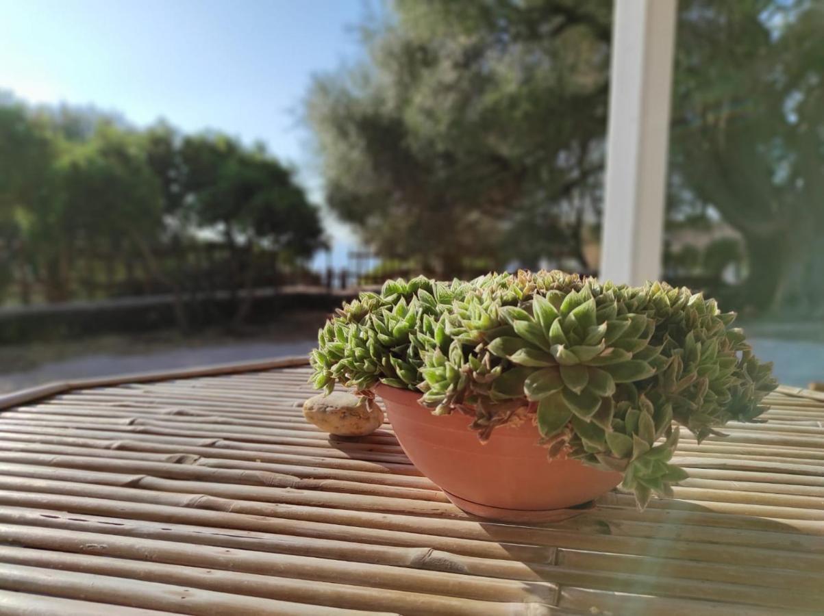 Casa Olivastra Villa Dorgali Bagian luar foto