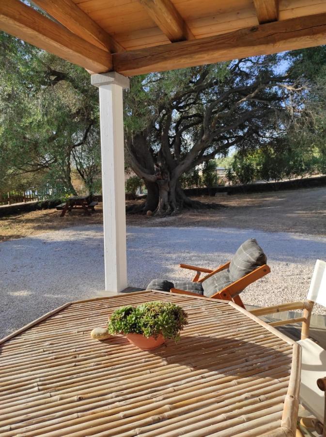Casa Olivastra Villa Dorgali Bagian luar foto