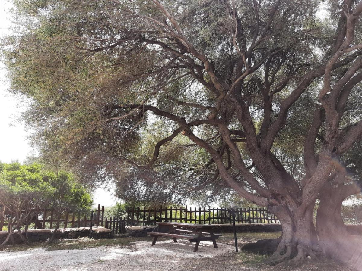 Casa Olivastra Villa Dorgali Bagian luar foto